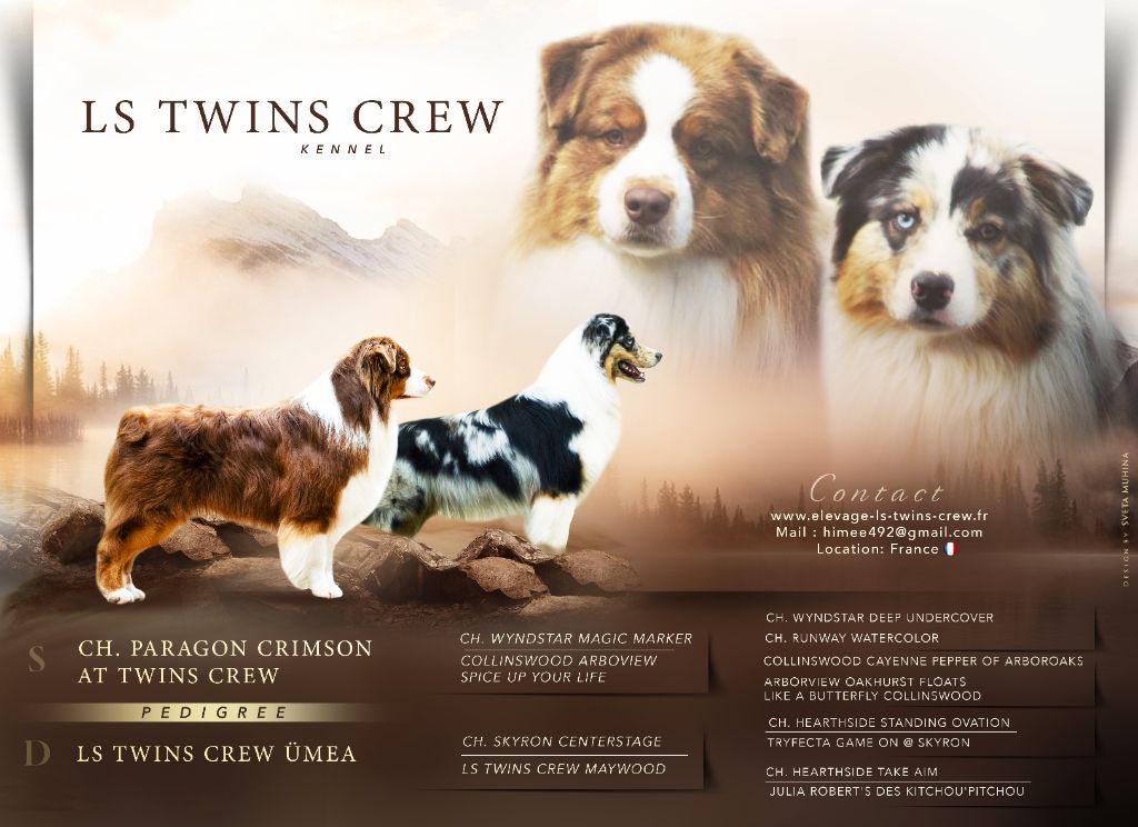 Ls Twins Crew - Prochaine naissance vers le 15 juillet 